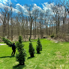 Privacy-Screening-Installation-in-Shelton-CT 3